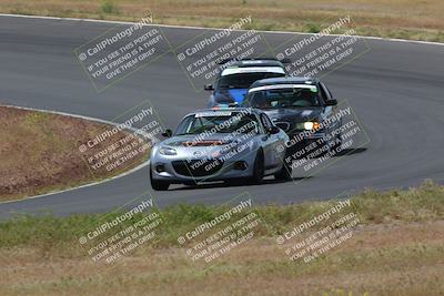 media/May-04-2024-Lucky Dog Racing (Sat) [[d39539b3f3]]/Race Pics/1015am (Turn 2)/